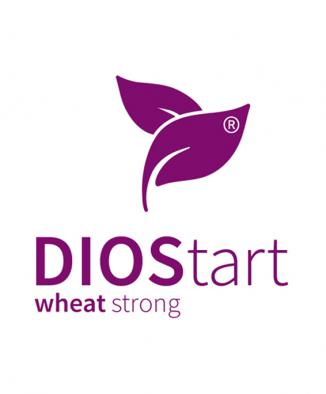 DIOStart wheat strong