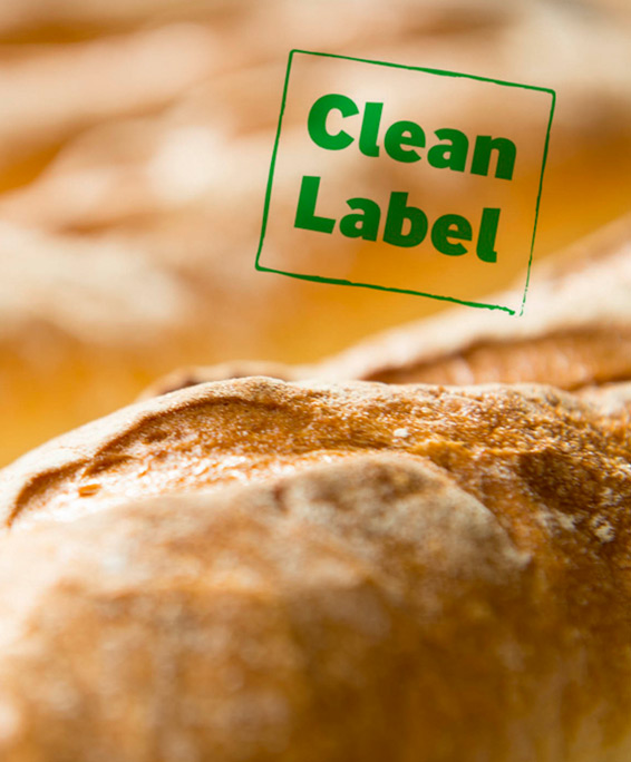 Haltbarkeit & Clean Label